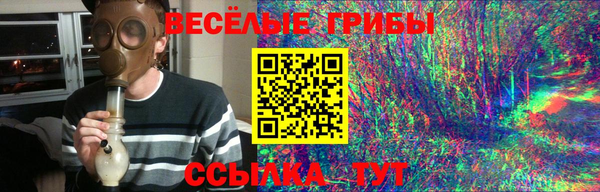 Псилоцибиновые грибы прущие грибы  Вход с VPN  как найти   Сертолово 