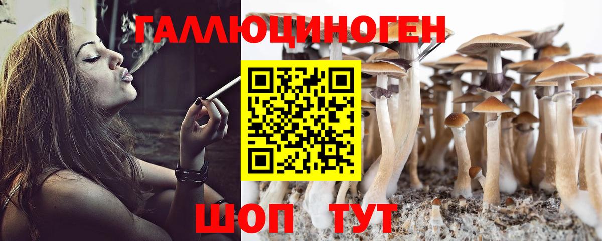 Псилоцибиновые грибы Сертолово