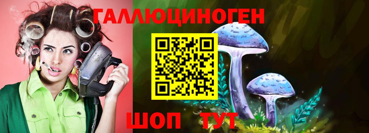 Псилоцибиновые грибы Cubensis  Сертолово 