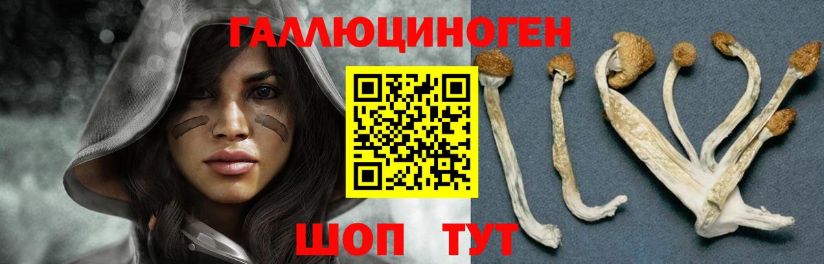 Галлюциногенные грибы Cubensis Сертолово