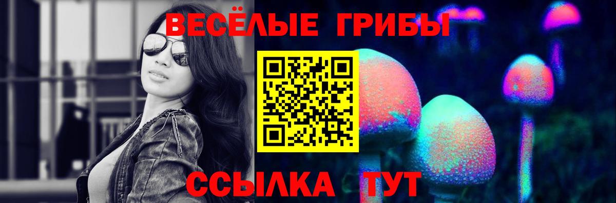 Псилоцибиновые грибы Psilocybe Сертолово
